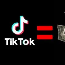 CONTAS DO TIK TOK COM 100 SEGUIDORES MENOR PRECO — imagem 2