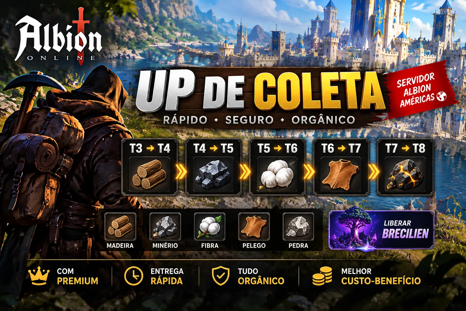 SERVICE ALBION ONLINE - UPAMOS COLETAS â imagem 1