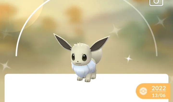 POKEMON SHYNE — imagem 6